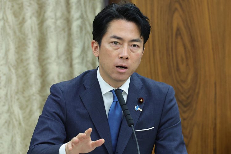 【進次郎劇場で支持率反転】自民党内に高まる「衆参ダブル選挙をやれば勝てる」の声　自民党の参院選情勢調査では与党で61議席、過半数を12議席上回る予測